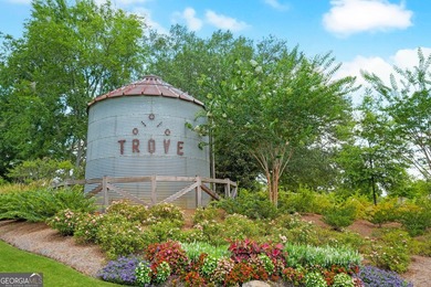 Welcome to Luxury Cottage living in Watkinsville's premiere - photo 12