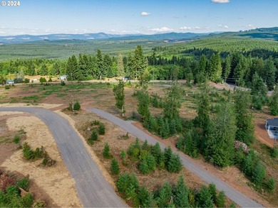 Introducing Delta Vista Community, which features a stunning new - photo 12