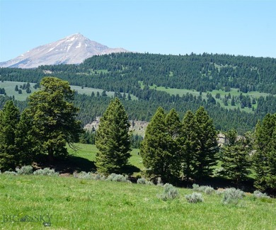 Beautiful alpine meadow property surrounded by a mature - photo 3