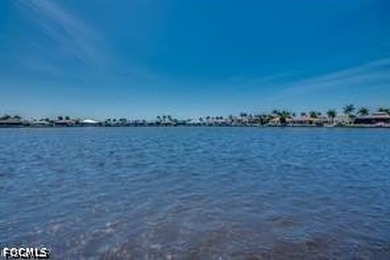 This amazing property located at the Britannia Lake is just - photo 50