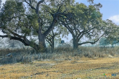 San Marcos River - Caldwell County Lot For Sale in Martindale Texas