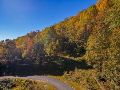 (private lake, pond, coastal) Acreage For Sale in Fancy Gap Virginia