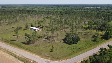 (private lake, pond, coastal) Lot Sale Pending in Cottonwood Alabama