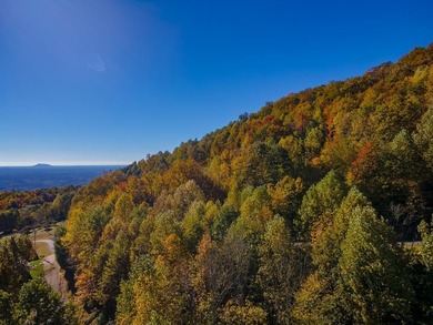 (private lake, pond, coastal) Lot For Sale in Fancy Gap Virginia