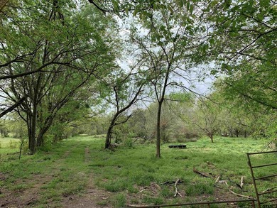 Beautiful 5.833 acres between North Hopkins Elementary and 154 - photo 9