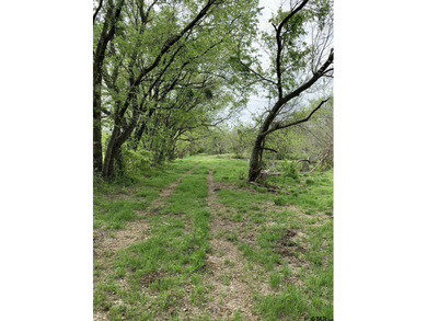 Beautiful 5.833 acres between North Hopkins Elementary and 154 - photo 10