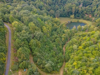 (private lake, pond, coastal) Lot For Sale in Fancy Gap Virginia