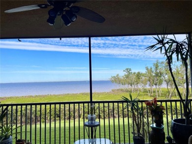 Lake Vivante Condo For Sale in Punta Gorda Florida