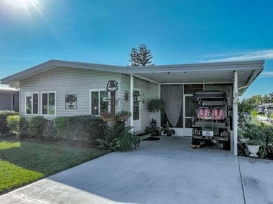 Lake Frances - Lake County Home Sale Pending in Tavares Florida