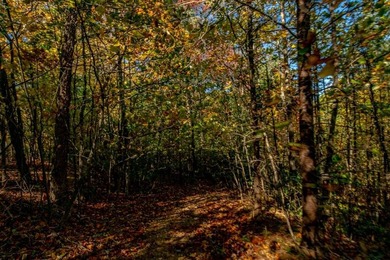 (private lake, pond, coastal) Lot For Sale in Fancy Gap Virginia