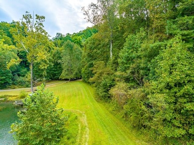 Lake Lot For Sale in Fancy Gap, Virginia