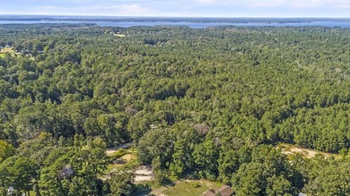 Lake Sam Rayburn  Lot For Sale in Brookeland Texas