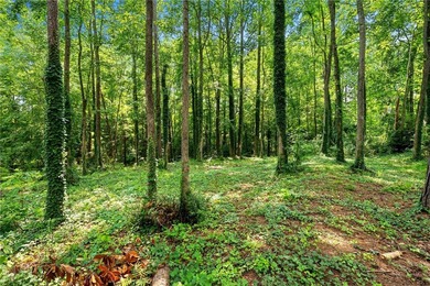Don't miss the opportunity to build your dream home on this last - photo 10