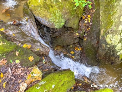 Lake Lot For Sale in Fancy Gap, Virginia