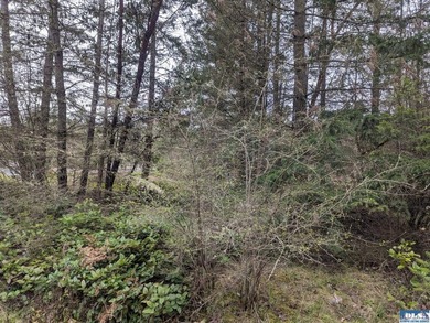 1.08-acre build-ready lot with water already connected! Treed - photo 12