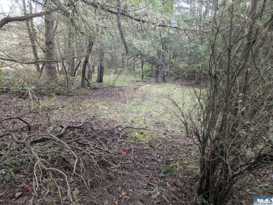 1.08-acre build-ready lot with water already connected! Treed - photo 13