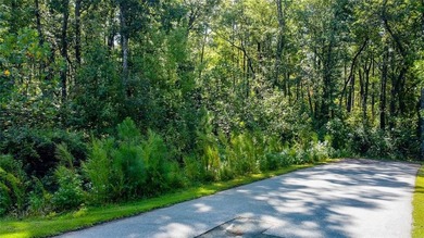 If you are looking for a great lot that's worth the journey - photo 2