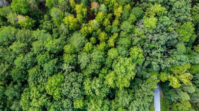 If you are looking for a great lot that's worth the journey - photo 4