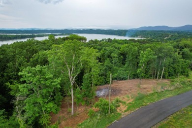 Lake Acreage For Sale in Dandridge, Tennessee