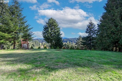 2+ acres of private country living with well and septic. Large - photo 38