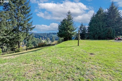 2+ acres of private country living with well and septic. Large - photo 40
