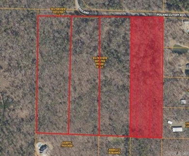 Lake Acreage For Sale in Roland, Arkansas