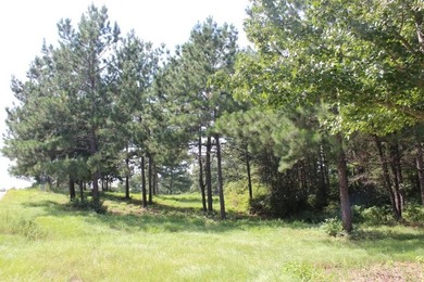 Welcome to Cypress Hills! The rolling hills and majestic pines - photo 1