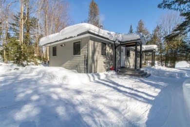 Lake Home For Sale in Holland, Vermont