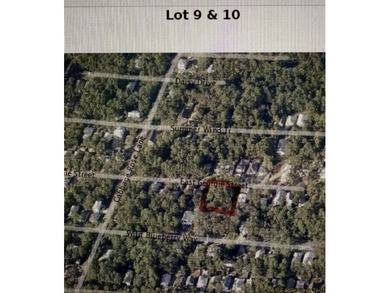 Lots 9 & 10 Block 51 can be bought as a block or sold separately - photo 1