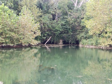 Lake Acreage For Sale in Hartville, Missouri