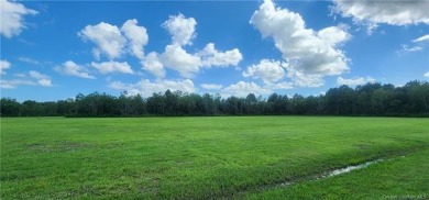 Lake Lot For Sale in Gueydan, Louisiana