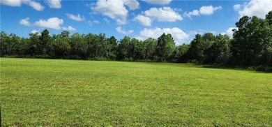 Lake Arthur Lot For Sale in Gueydan Louisiana