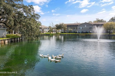 Updated townhome-style condo in Ocean Walk, one of Saint Simons - photo 25