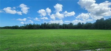 Lake Arthur Lot For Sale in Gueydan Louisiana