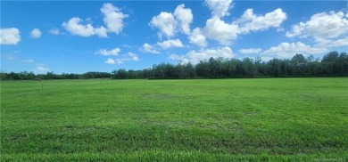 Lake Arthur Lot For Sale in Gueydan Louisiana