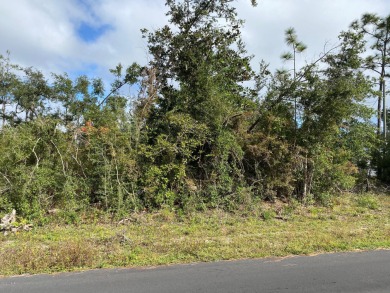 Lake Lot For Sale in Youngstown, Florida