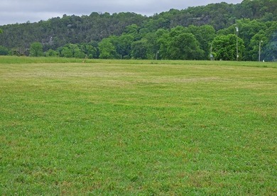 1.05 Acre Tract with a beautiful view of the South Fork River - photo 3