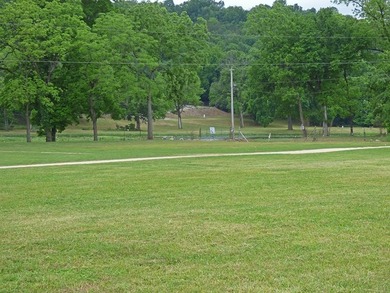 1.05 Acre Tract with a beautiful view of the South Fork River - photo 6