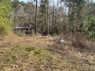 Lake Lot For Sale in Hemphill, Texas