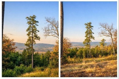 Lake Maumelle Lot For Sale in Roland Arkansas