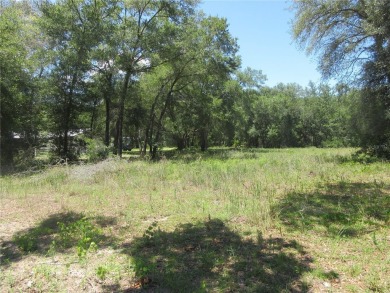 Lake Lot For Sale in Ocklawaha, Florida