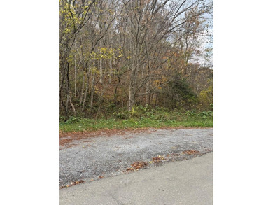 Lake Acreage For Sale in Cedar Bluff, Virginia