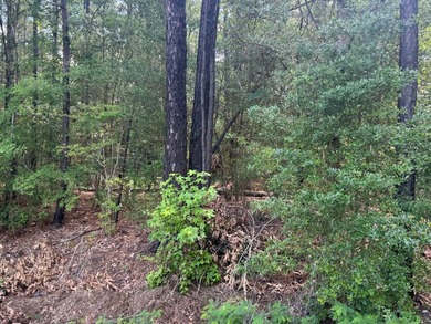 Build Your Dream Lake Getaway! Unrestricted! Discover the - photo 3