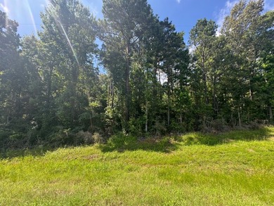 Build Your Dream Lake Getaway! Unrestricted! Discover the - photo 4