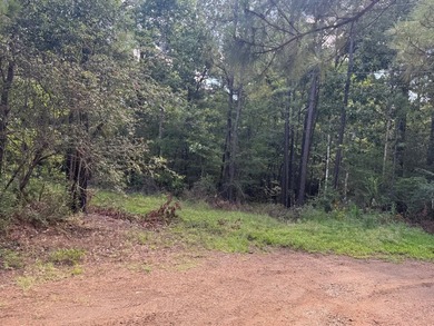 Build Your Dream Lake Getaway! Unrestricted! Discover the - photo 5