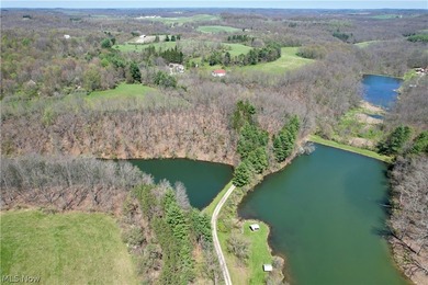 Opportunity meets legacy on this exceptional 113-acre property - photo 1