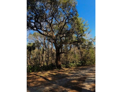 Almost 2.7 acres of land located in the Historical area of - photo 2