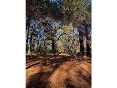 Almost 2.7 acres of land located in the Historical area of - photo 3