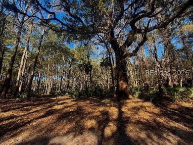 Almost 2.7 acres of land located in the Historical area of - photo 4
