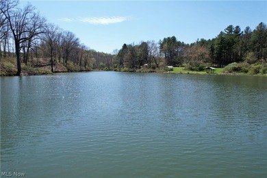 Opportunity meets legacy on this exceptional 113-acre property - photo 5